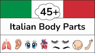 45+ Italian Body Parts Vocabulary Words + Pronunciation - Free Printable PDFs to Practice!
