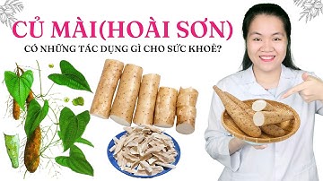 Ăn Củ Mài(dược liệu Hoài Sơn) giúp chữa suy nhược cơ thể hiệu quả