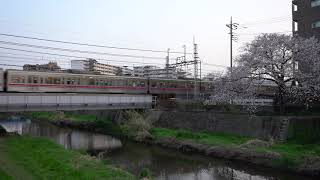 夕桜から夜桜　京王線