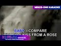 Seal  kiss from a rose 1080p minusone karaoke  ktrflicks channel