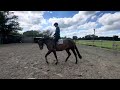 Cristobella flatwork 23/5/24