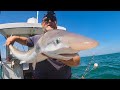 Fishing In THE DEEPS What Might Be Living There 