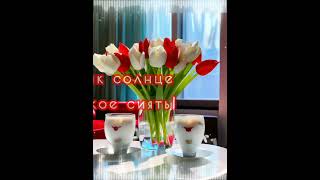 С добрым утром ☀️🌷🌷🌷С новым днём 🌷🌷🌷❤️