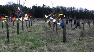 Dawnshape "Sparse Prism" Teaser