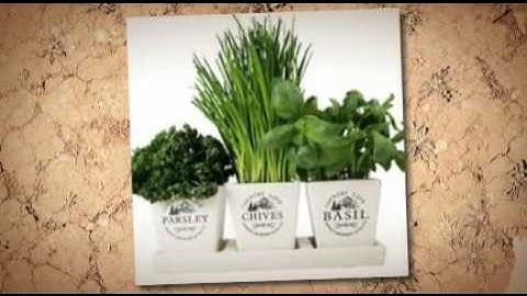 Gardenluxuries.com - Clonex Rooting Gel