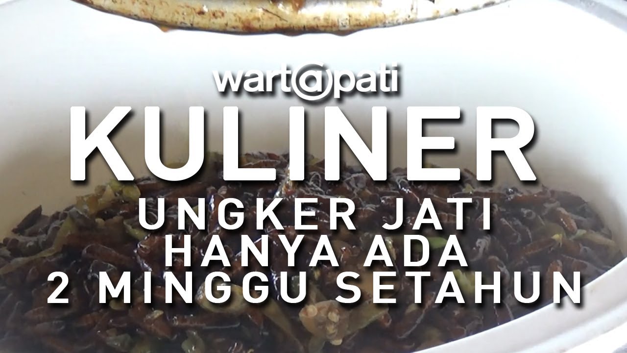 Kuliner Extream Ungker Jati Hanya Ada 2 Minggu Setahun ...