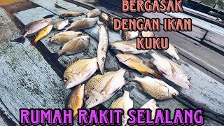 Trip solo rumah rakit selalang perlawanan dengan ikan kuku