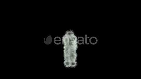 Party Animal Hairy Dance VJ Loop | Motion Graphics - Envato elements