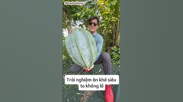Trải nghiệm ăn khế siêu to khổng lồ #shorts