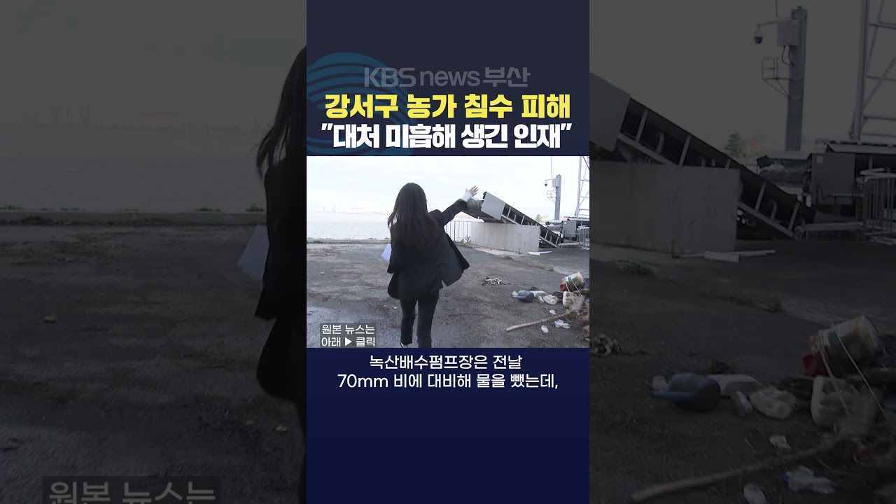 2024.11.05 부산 강서구 농가피해 폭우피해 배수펌프장 수문관리 농가침수 배수시스템 최위지기자