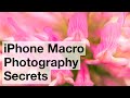 iPhone Macro Photography Secrets – iPhone Landscape Mastery