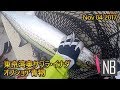 動画 東京湾奥オフショア青物 イナダ・サワラ 2017年11月04日