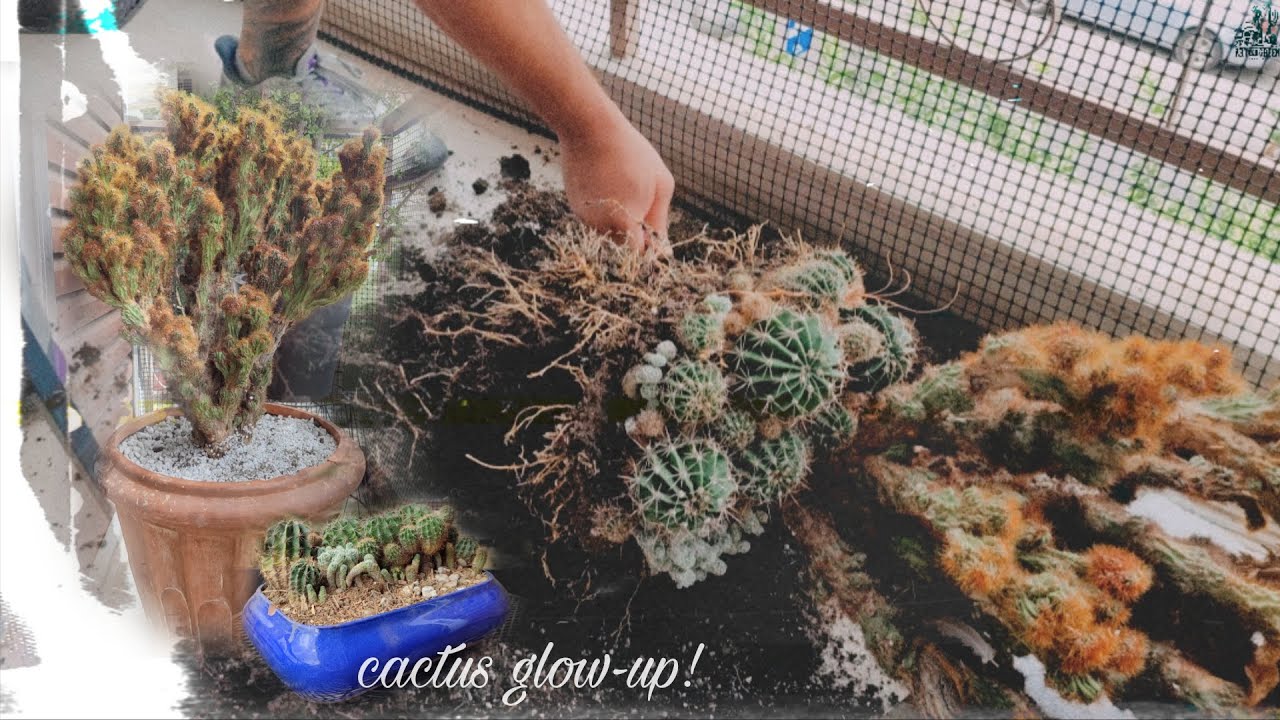 A READY MADE MATCH - ΜΙΑ ΓΛΑΣΤΡΑ ΠΟΥ ΓΕΝΝΗΘΗΚΕ ΓΙΑ ΑΥΤΗ ΤΗ ΣΥΝΘΕΣΗ