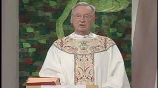 The Sunday Mass Homily - May 17, 2009 - Sixth Sunday of Easter