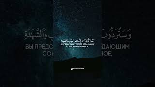 Коран Сура 9 «Покаяние», аят 105. Чтец: Насир аль-К'атами