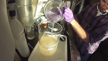 Turning Zooplankton Samples into Data