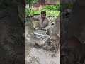 Creative Cement Project | Beautiful & Relaxing DIY Ideas Flow #DIY #cement #shorts