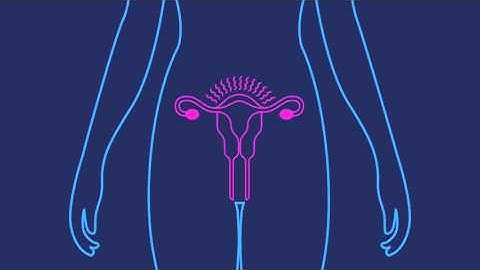 How Effective is the Birth Control Shot | Planned Parenthood Video