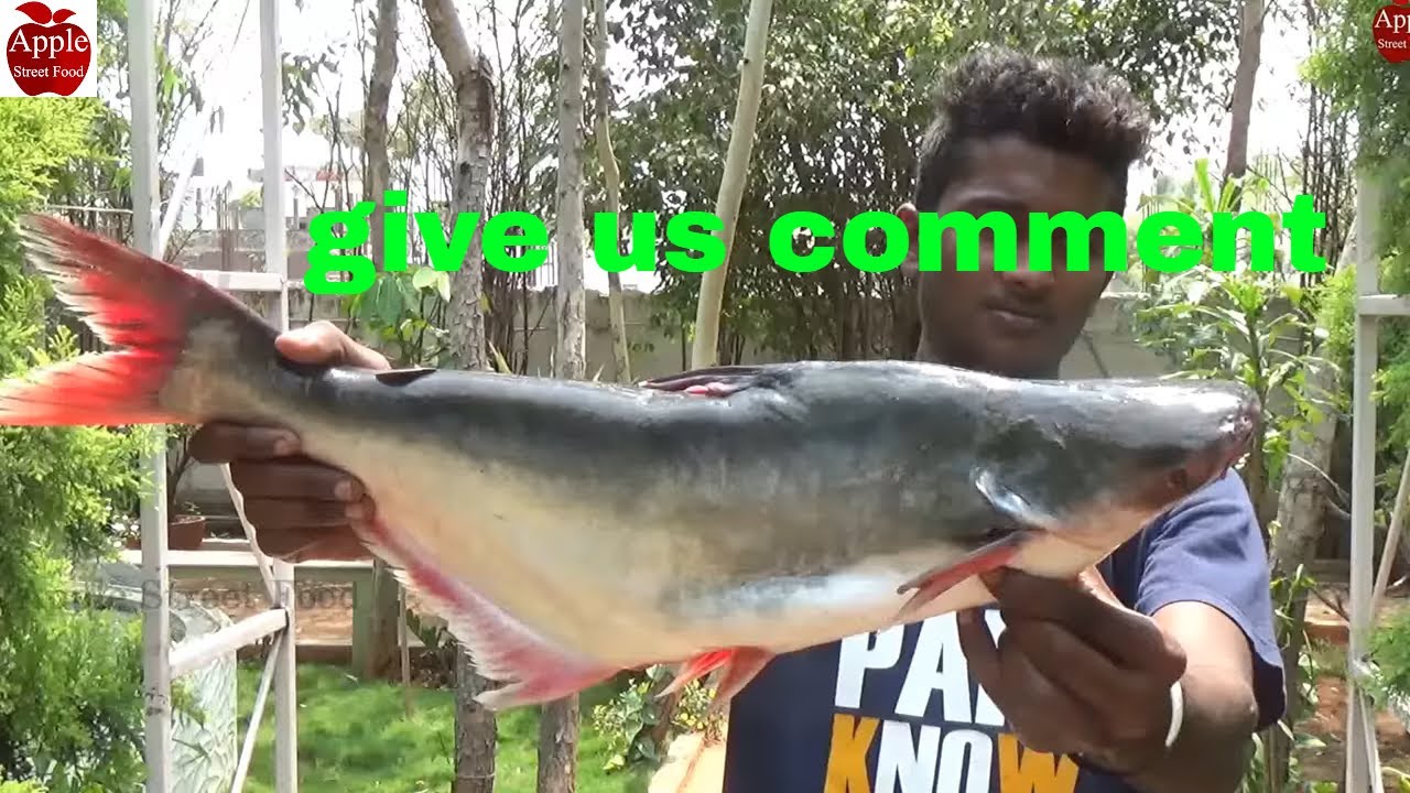 pulasa fish curry recipe | Big fish curry | Fish cooking skils | Pulsa | APPLE STREET FOOD