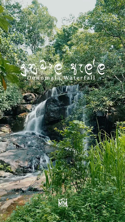 Download lagu දුනුමාල ඇල්ල 🧘🍃🌊 #dunumalaella #srilankatravel #viralvideo #foryou #travel #waterfall #4kvideo