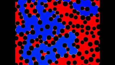 Drainage using lattice gas automata