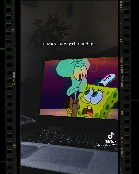 Story Wa/Ig Keren Aesthetic || Seperti Kata Spongebob : .....