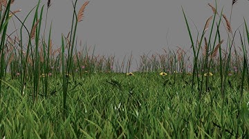 Grass CGI Preview