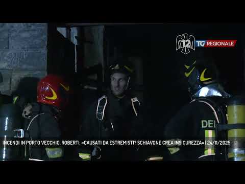 INCENDI IN PORTO VECCHIO, ROBERTI: «CAUSATI DA ESTREMISTI? SCHIAVONE CREA INSICUREZZA» | 24/11/2025