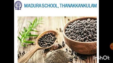 III STD Science Unit 4 Science in everyday life (Part 2)