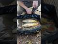 CARP FISHING CRAZY #fishing