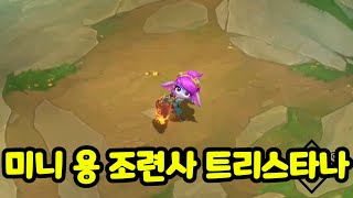 미니 용 조련사 트리스타나 공개!