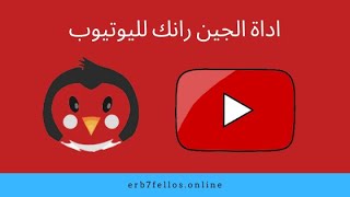 اداة الجين رانك لليوتيوب | شرح أداة جين رانك guinrank يوتيوب