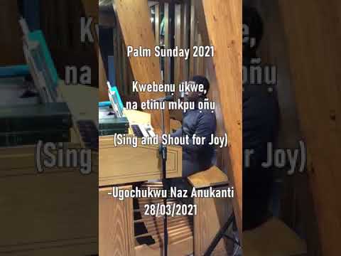 Happy Palm Sunday - onye nu n&rsquo;etiti unu bu nnukwu onye di nso nke Israel by Nazarius Anukanti