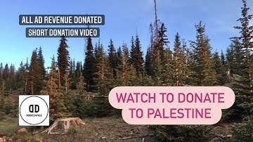 Watch to DONATE to PALESTINE | Short Donation Video