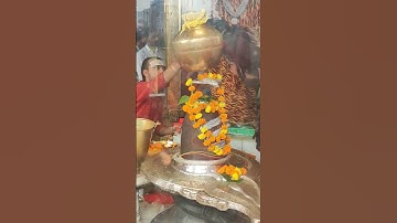 Shiv Shiv Shankara | Hansraj Raghuwanshi Bhajan. #hansrajraghuwanshi #shorts #mahadev