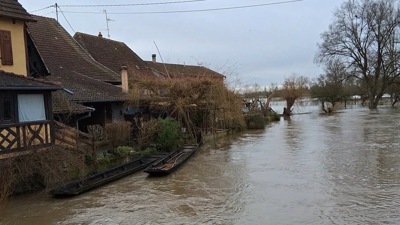 🌫 💦🌥 4) Floodwaters in Alsace 🇨🇵 /4) Hohe Wasser der ILL (Elsaß 🇨🇵) / 4) L'ILL en crue (Bas-Rhin 🇨🇵)