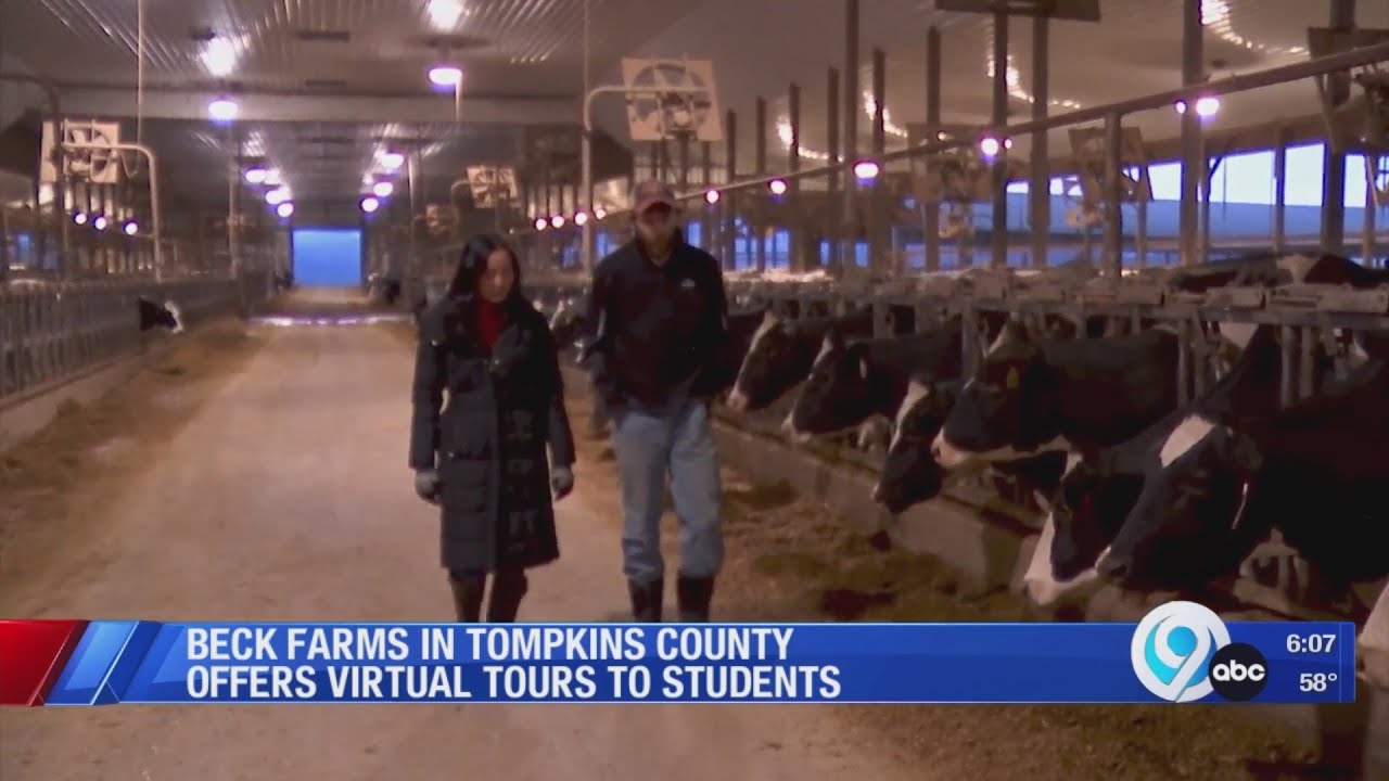 Tompkins County dairy farm offering virtual tours for students (video)