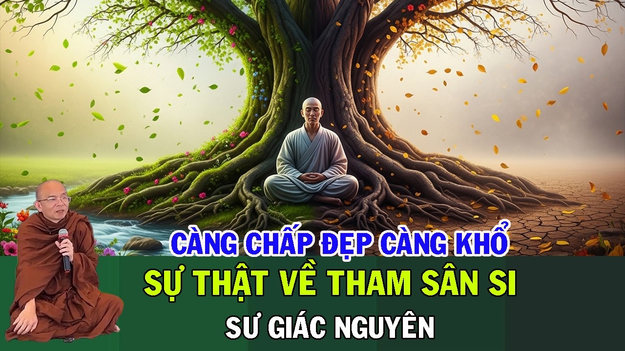 Vì Sao Càng Chấp “ĐẸP” Con Người Càng KhỔ? | Sự Thật Về Tham – Sân – Si | Sư Giác Nguyên