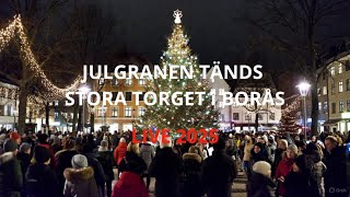 Julgranständningen 2025 På Stora Torget Borås Hd