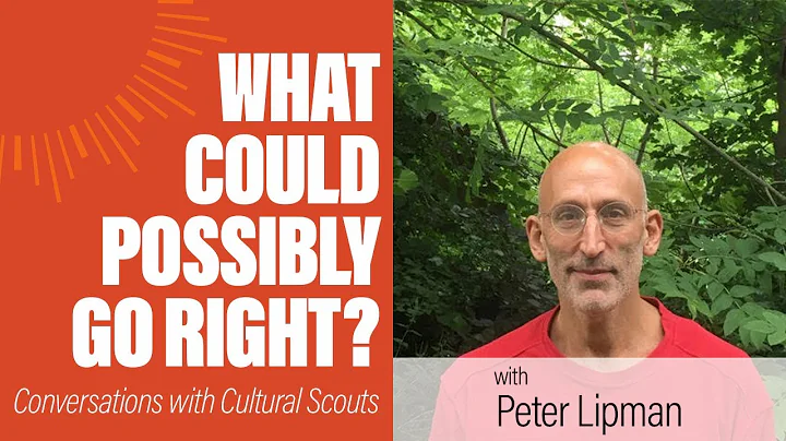 Peter Lipman | What Could Possibly Go Right?