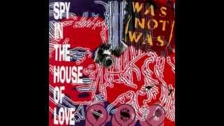 Was  (Not Was)  -  Spy In The House Of Love