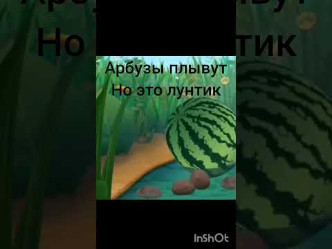 арбузы плывут но