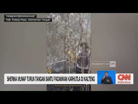 Sherina Munaf Turun Tangan Bantu Padamkan Karhutla di Kalimantan Tengah