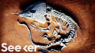 ‘The Great Dying’ Was Our Worst Extinction Ever, And It Could Happen Again ‘The Great Dying’ Was Our Worst Extinction Ever, And It Could Happen Again