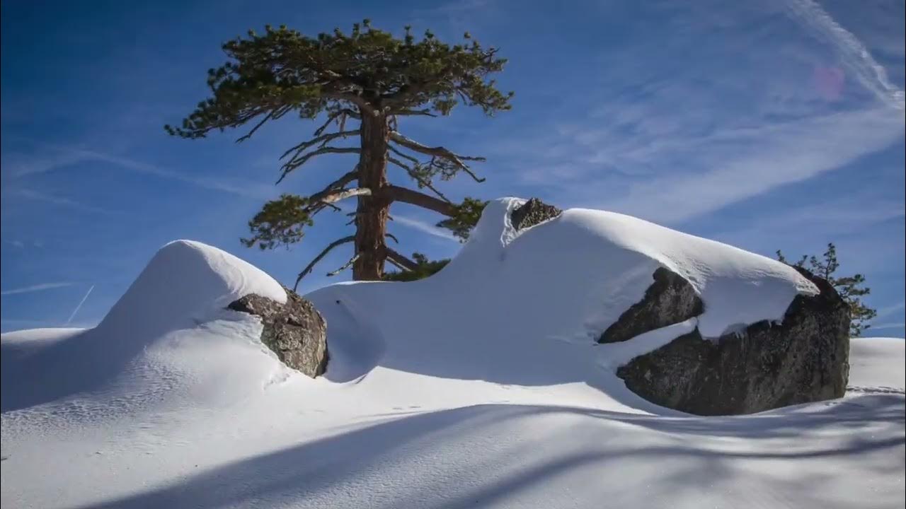 Donner Summit Snopark Beginner Snowshoe 1162022 YouTube