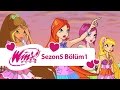 Winx Club - 5. sezon 1. bölüm - Sızıntı - [TAM BÖLÜM]