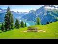 ZEN Mindfulness Music 🌿 Soothing &amp; Relaxing for Sleep, Meditation, Study &amp; Spa🍀