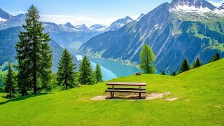 ZEN Mindfulness Music 🌿 Soothing &amp; Relaxing for Sleep, Meditation, Study &amp; Spa🍀