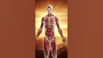 Apa itu Placebo? Fakta Mengejutkan Dunia Medis