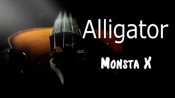 Violin Cover -  Alligator - Monsta X